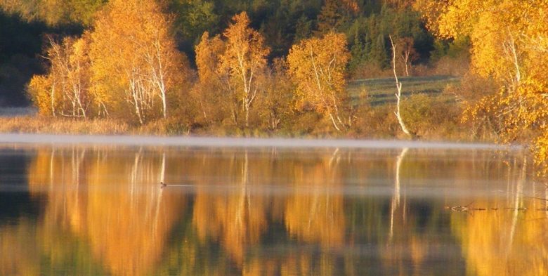 Automne Lac Helene