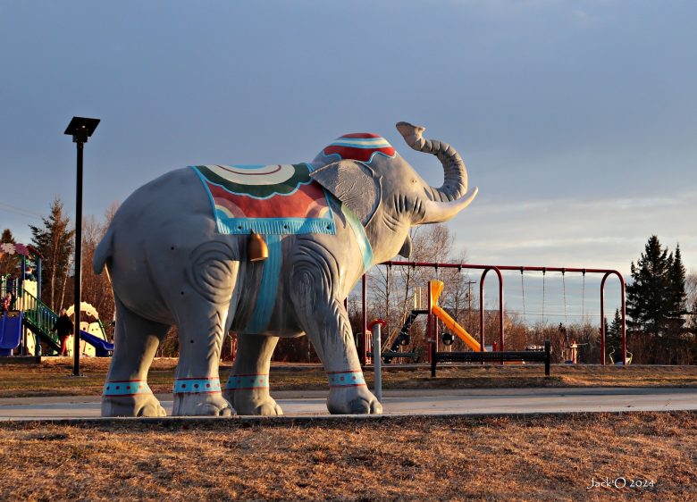 Éléphant 4 J.Archambault