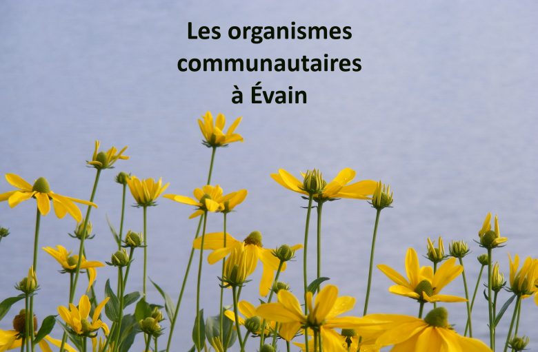 Organismes communautaires à Évain