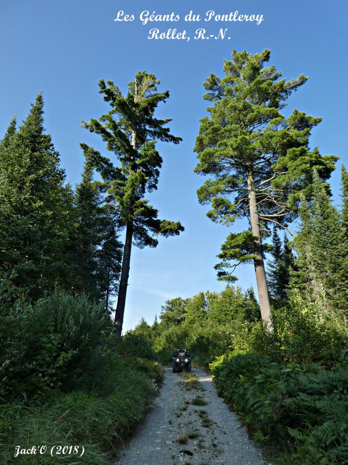 Les géants du Pontleroy