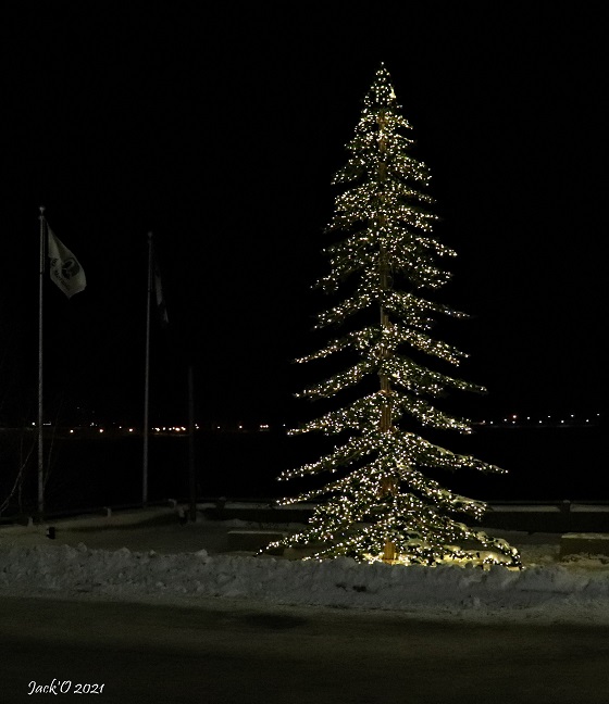 Sapin illuminé près du lac Osisko