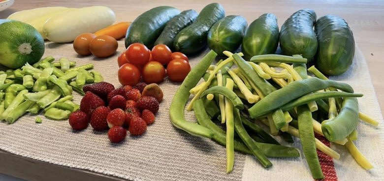 Légumes et fruits du potager d'Anie