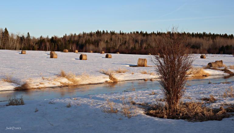 Ballots de foin dans la neige, près d'un ruisseau dégelé