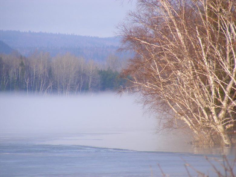 Matin de brume au lac Hélène, Évain