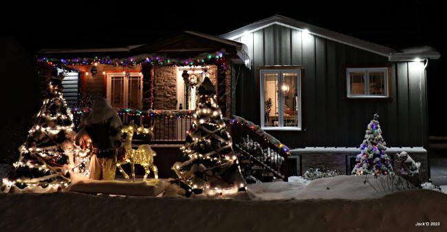 Maison décorée avec sapins et renne illuminés