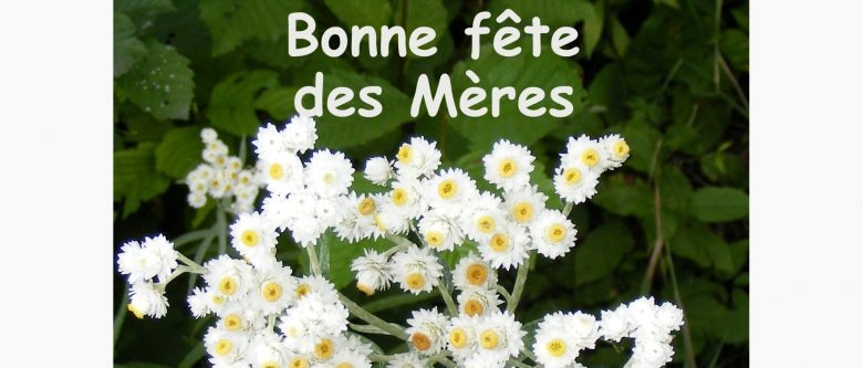 Fête des Mères