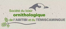 Société du loisir ornithologique de l'Abitibi et du Témiscamingue