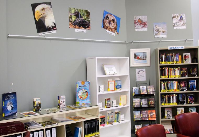 À la bibliothèque, photos de pygargue à tête blanche, plongeon huard, hibou des marais et autres...