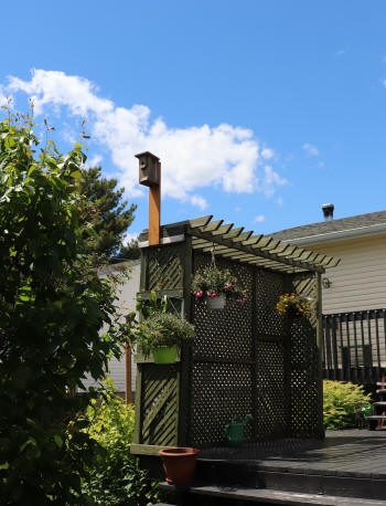 Cabane à oiseaux installée en hauteur