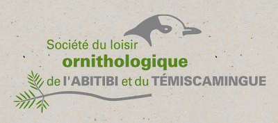 Société du loisir ornithologique de l'Abitibi et du Témiscamingue