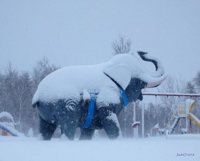 En hiver, sous une belle couche de neige...
