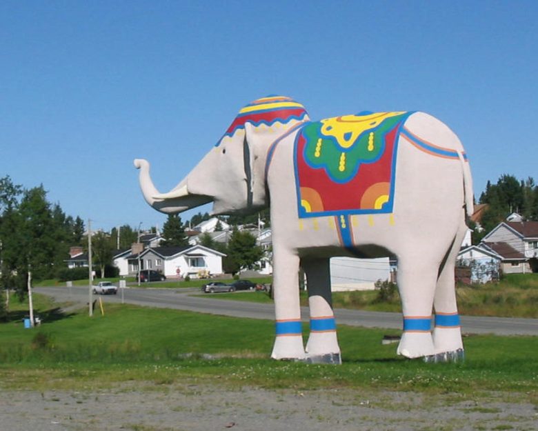 Éléphant en 2008