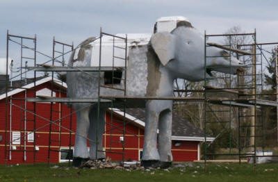 Éléphant en rénovation