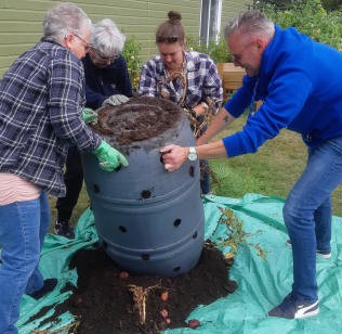 Récolte de pommes de terre ayant poussé dans un bac troué