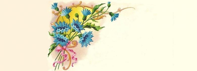 Fleurs 1911