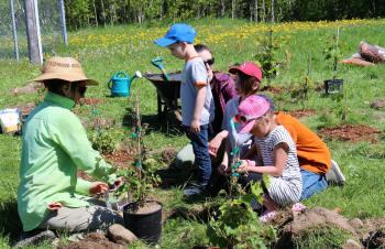 Enfants observant la mise en terre d'un plant