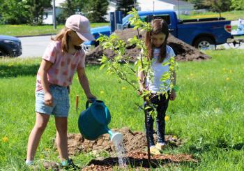 Deux fillettes arrosant un arbre nouvellement planté