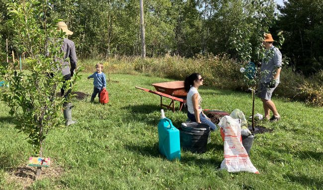 Un enfant participe à la corvée avec des adultes...