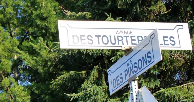 Le nom des rues