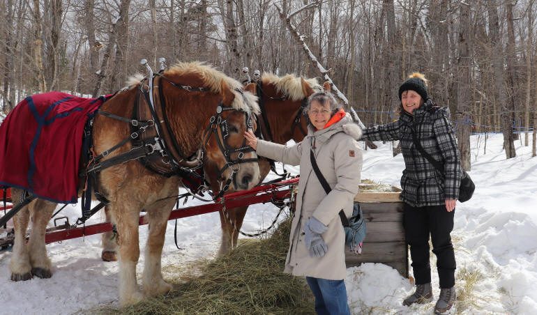 Près de deux chevaux attelés