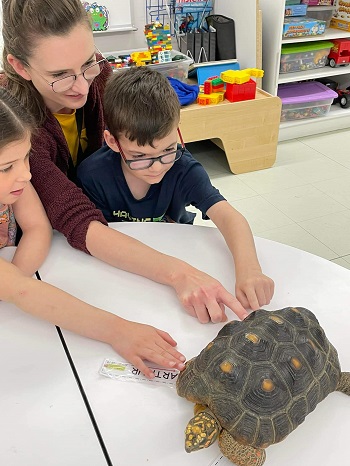 Tortue lors d'une visite du "Labyrinthe des insectes"