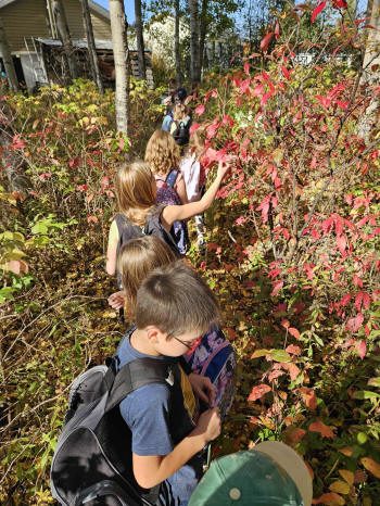 Groupe d'enfants se déplaçant près d'arbustes aux feuilles rouges