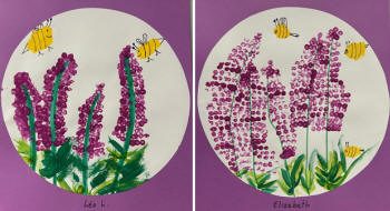 Dessins de lavandes en fleurs