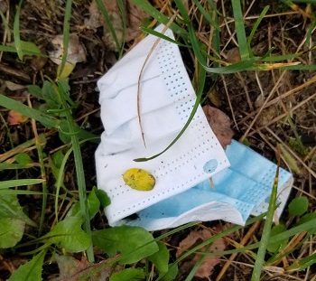 Un masque jeté dans l'herbe