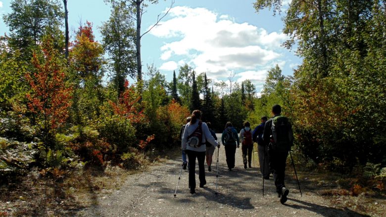 Marche dans le canton Montreuil, Témiscamingue. 