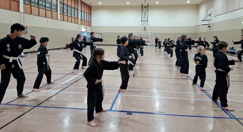 Kuk Sool en action