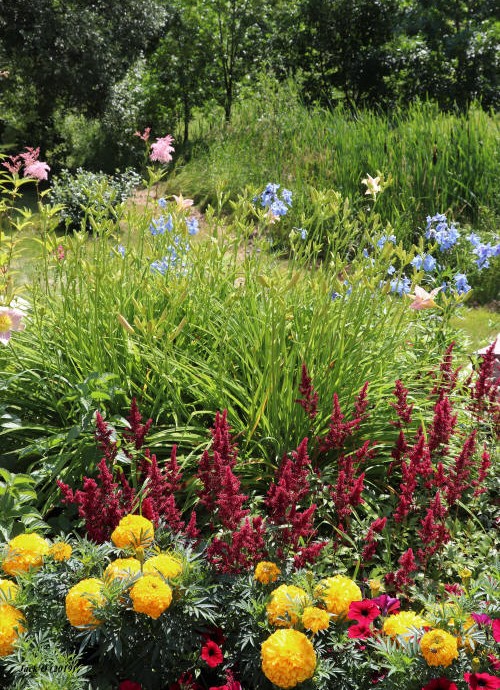 Espaces fleuris présents partout sur le site