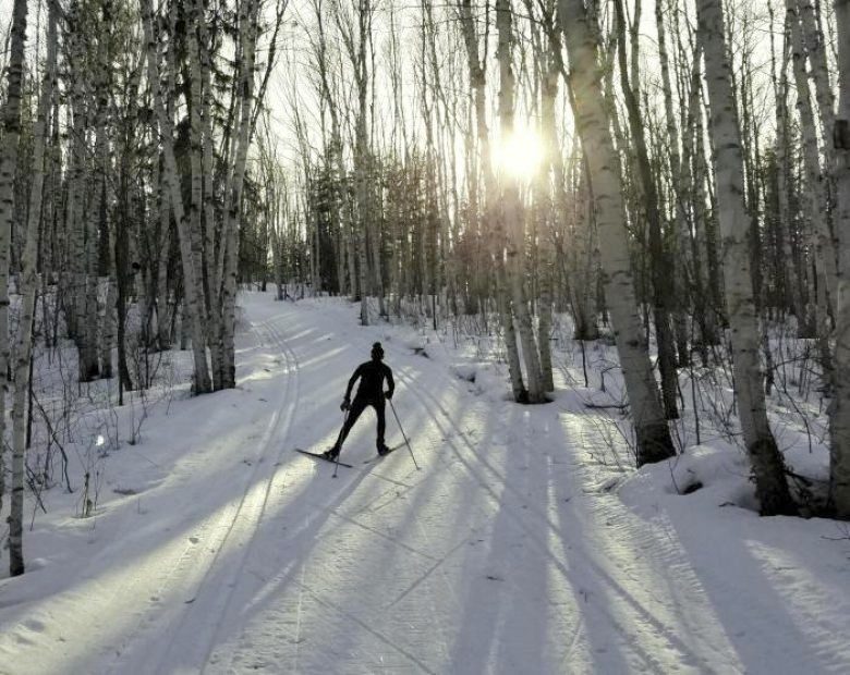 Ski Patin B