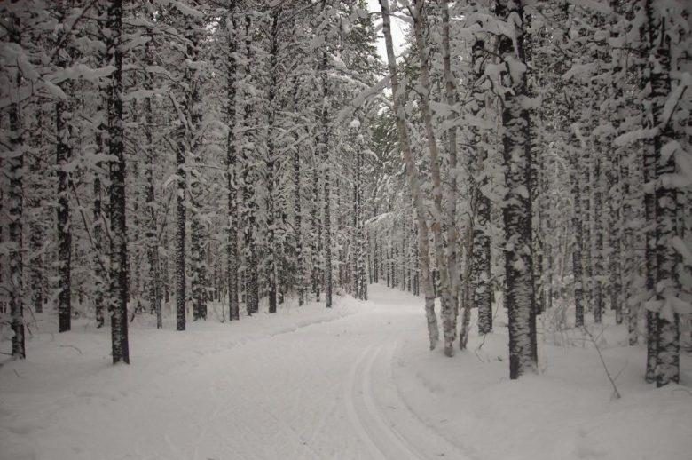 Ski de fond