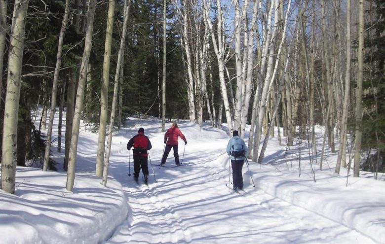 Ski de fond dans la neige